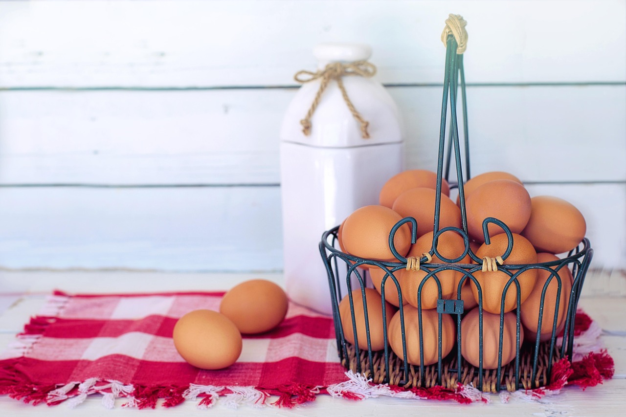 O ovo é nutritivo, mas exige cuidados. Pequenas falhas no armazenamento podem favorecer bactérias perigosas/Pixabay