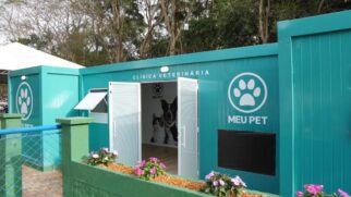 O Governo de São Paulo vai oferecer castração gratuita para 52.850 cães e gatos até julho