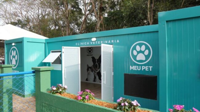O Governo de São Paulo vai oferecer castração gratuita para 52.850 cães e gatos até julho