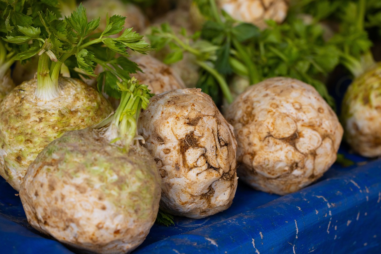 Incluir a couve-rábano na alimentação diária pode ser um passo simples e natural para melhorar a saúde intestinal e o bem-estar geral /Pixabay