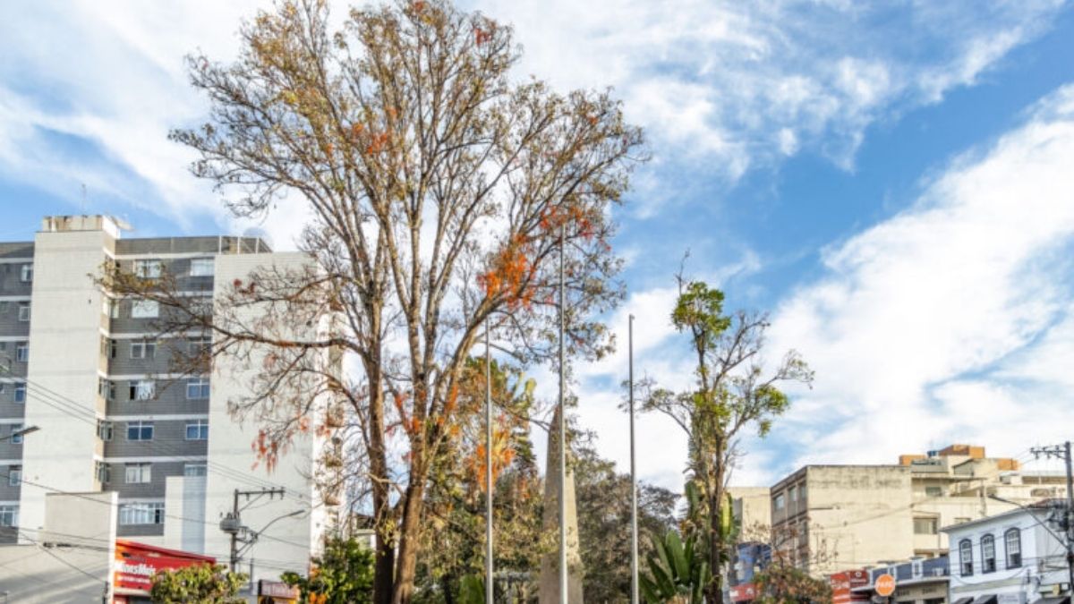 Popularmente, o município é conhecido como 'Terra dos Ipês e das Escolas'