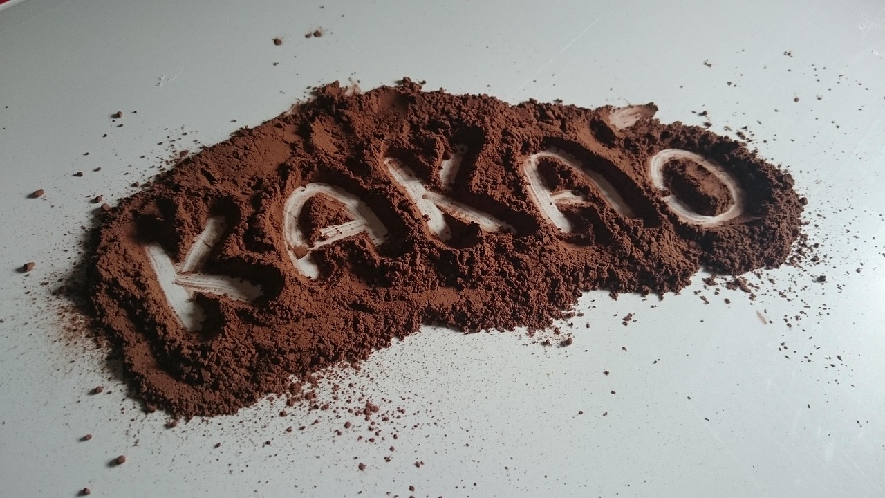 A nostalgia da infância encontra a nutrição quando o chocolate quente é preparado da forma certa/Pixabay