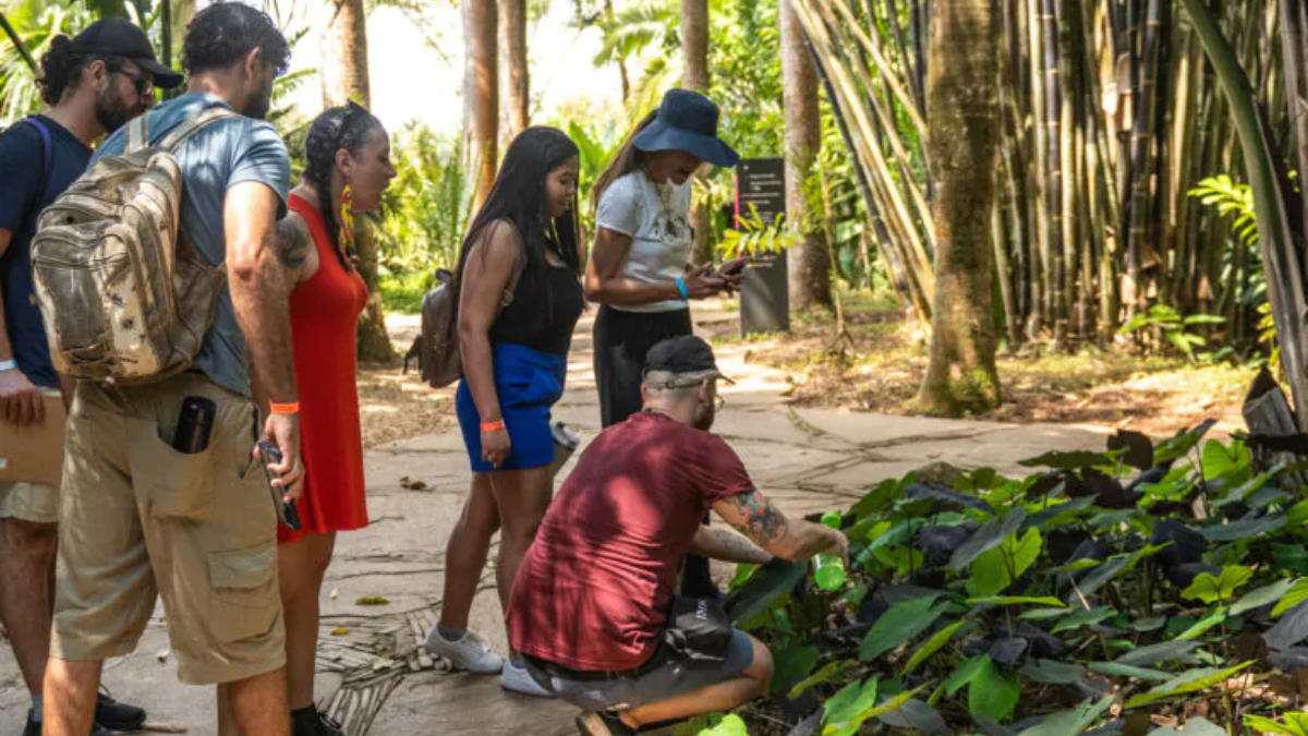 Instituto Inhotim, localizado em Brumadinho, no estado de Minas Gerais / Inhotim/Daniela Paoliello