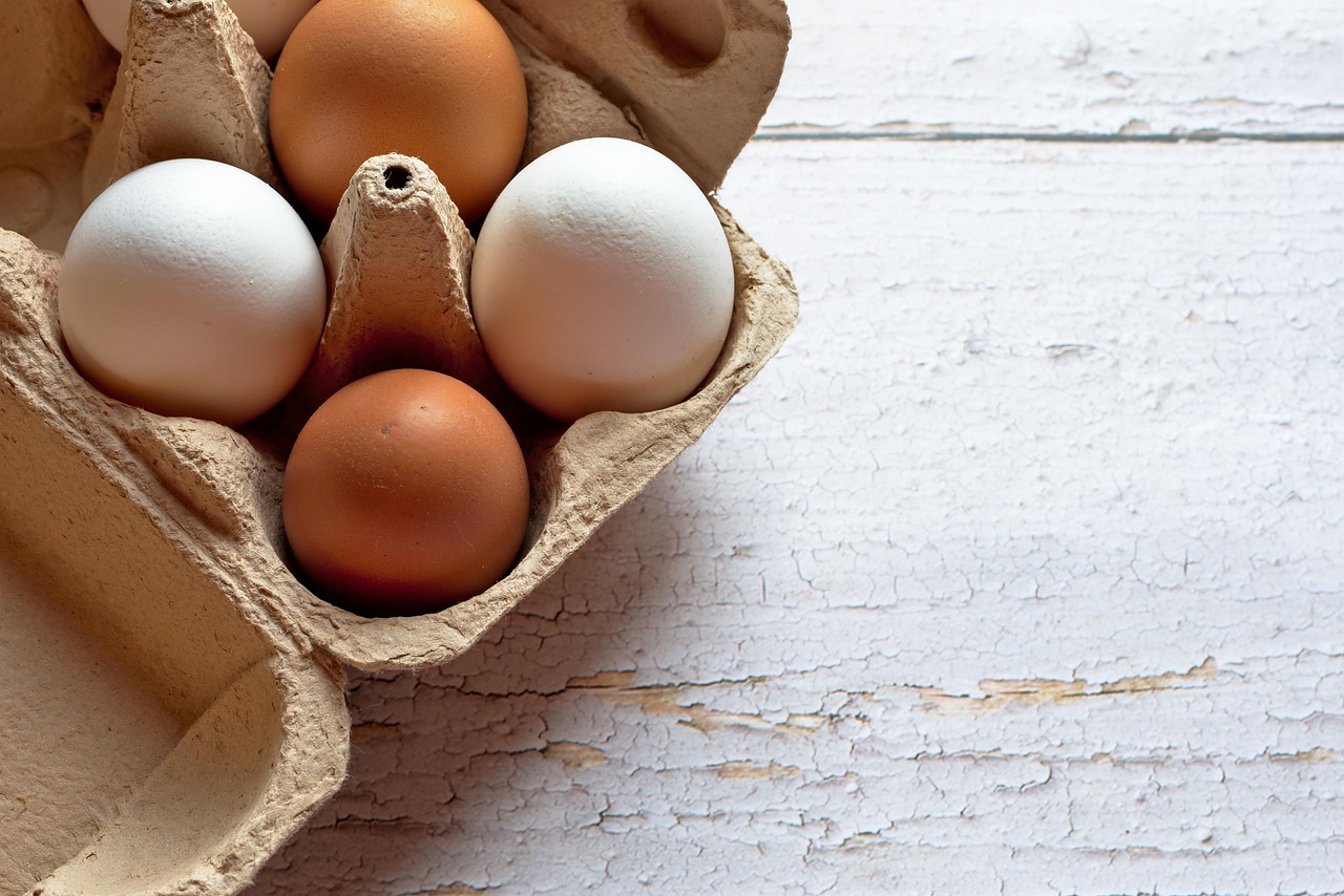 Um hábito simples na cozinha pode transformar o ovo em risco à saúde. Veja como armazenar e consumir da forma correta/Pixabay