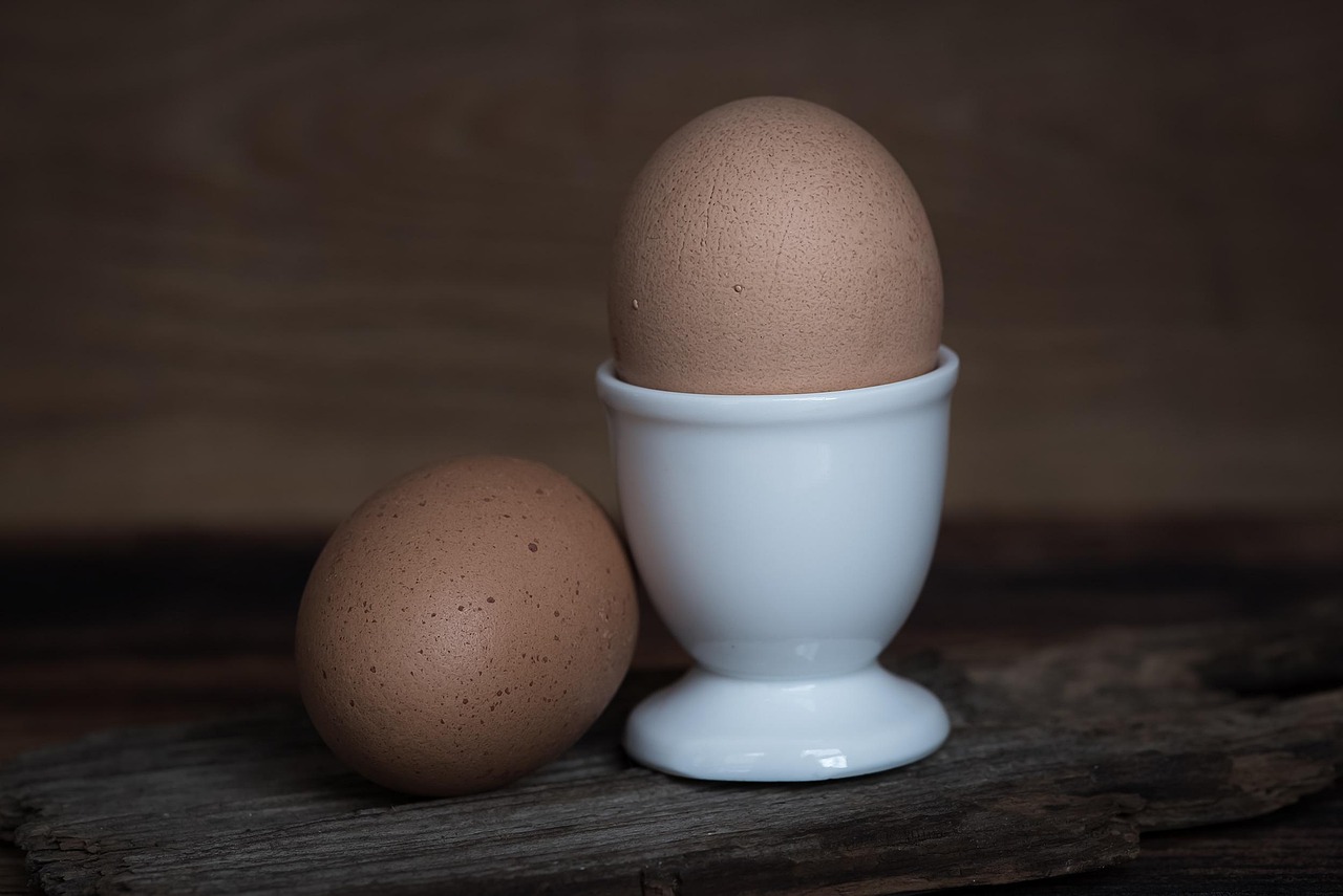 Antes de usar aquele último ovo, vale conferir se você está conservando corretamente esse alimento tão presente no dia a dia/Pixabay