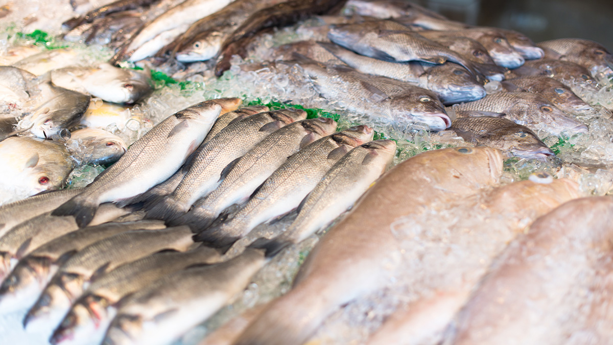 A alta nos preços das carnes tradicionais tem levado os brasileiros a repensar hábitos à mesa