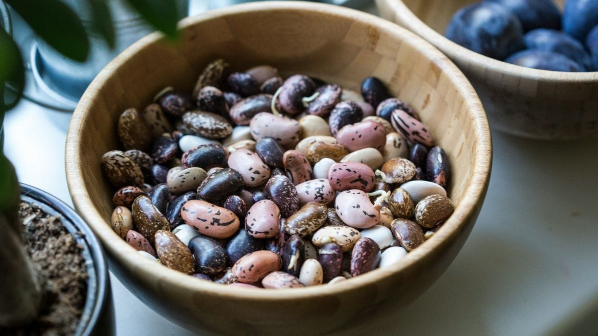 Turbinar o ferro no prato é mais simples do que parece: basta adicionar couve picada ao final do cozimento do feijão. A sinergia entre os nutrientes garante que você aproveite cada miligrama de mineral da sua refeição/Unsplash