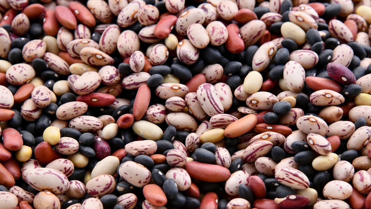 Esqueça o mito de que só carne tem ferro. Ao combinar feijão com folhas verdes escuras como a couve, você cria uma bomba nutricional ideal para dietas vegetarianas e para quem busca mais energia no dia a dia/Unsplash