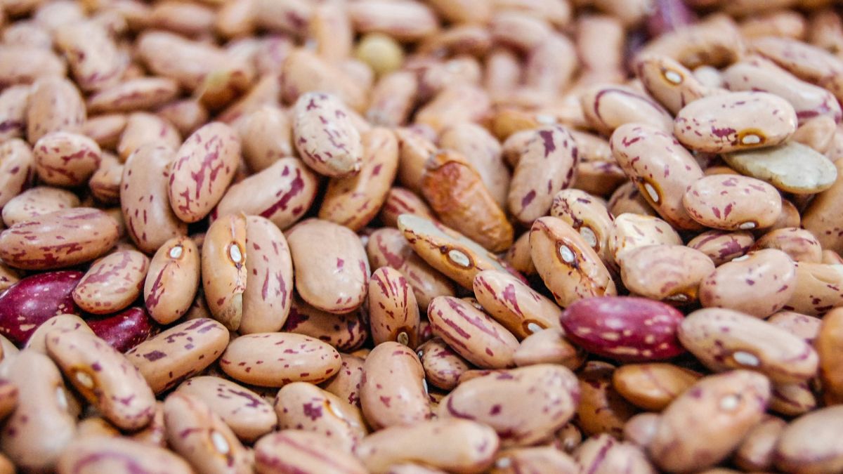 Quer mais saúde no seu almoço? Troque os temperos tradicionais pela couve refogada direto no feijão. Essa dupla protege o ferro dos inibidores naturais e fortalece o sistema imunológico com uma combinação poderosa de vitaminas/Unsplash