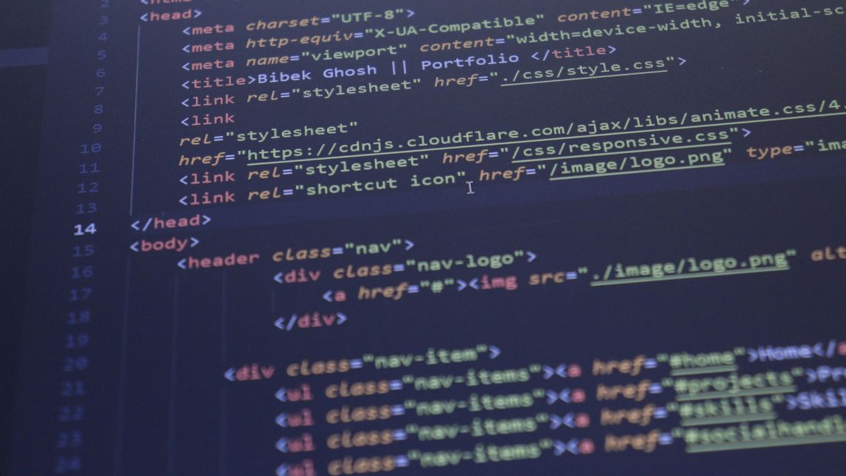 Sem desmatar, o projeto utiliza leitos dos rios para conectar 70 cidades da Amazônia à fibra óptica/Pexels