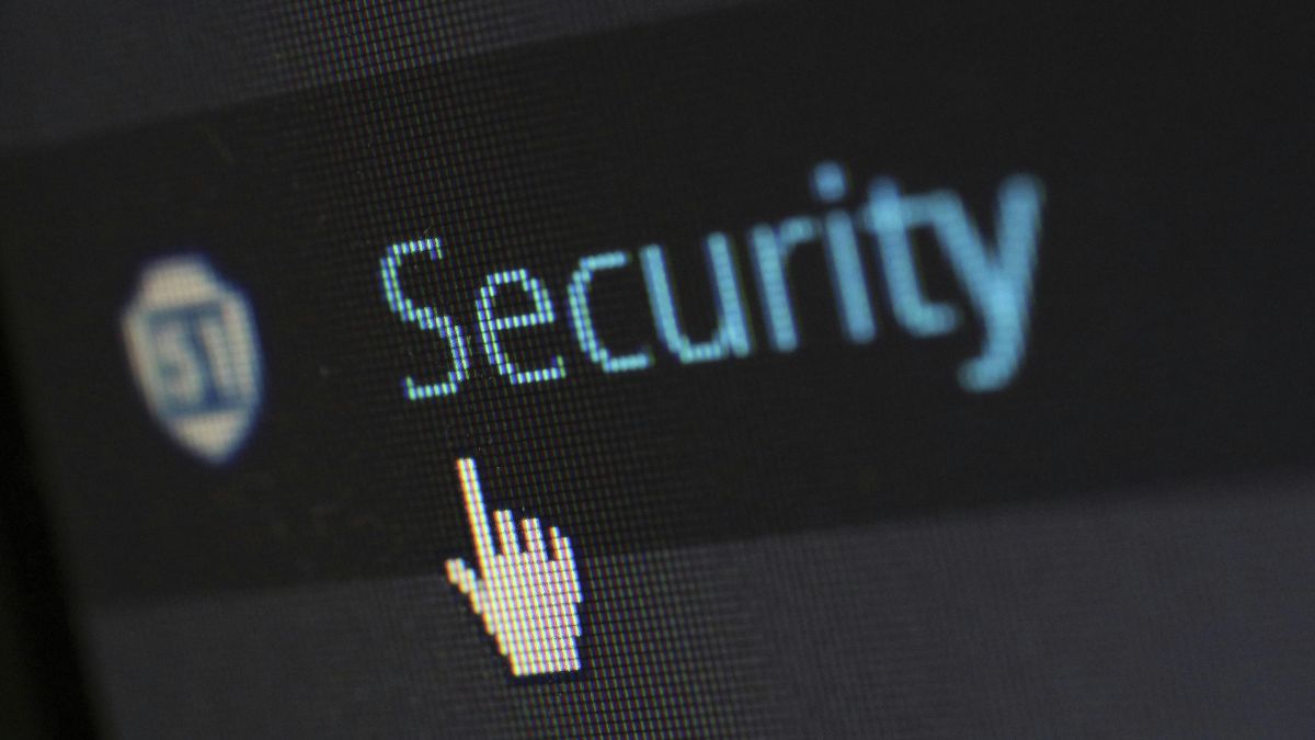 Logística recorde traz da China os cabos que vão garantir conexão de 96 terabytes para os ribeirinhos/Pexels