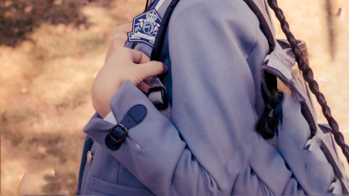 O excesso de peso nas mochilas escolares pode provocar dores na coluna e alterações posturais em crianças, segundo orientações médicas internacionais. Pixabay/@lxr347929248