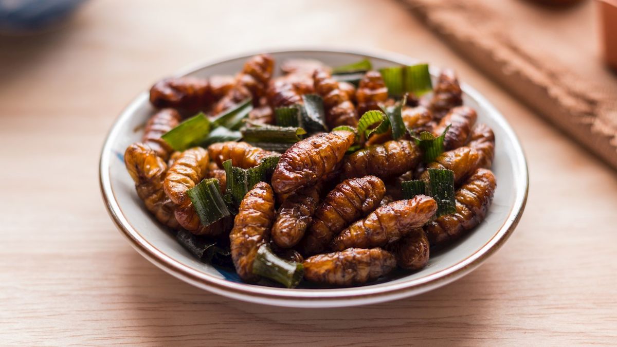 Feito à base de insetos fritos e temperados, o Hon mhai é considerado uma fonte alternativa de proteína na Tailândia. Divulgação/Tasteatlas