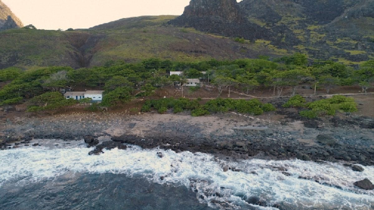 Após a retirada de cabras introduzidas em 1700, a cobertura vegetal da ilha cresceu 1.468%, permitindo o renascimento de florestas nativas/Marinha do Brasil
