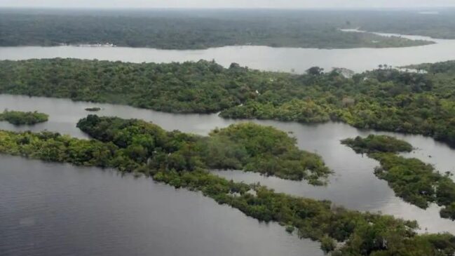 Pesquisadores descobrem como micróbios