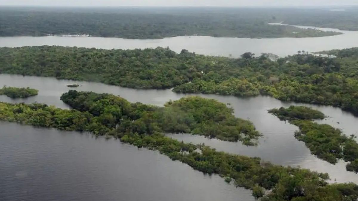 Pesquisadores descobrem como micróbios