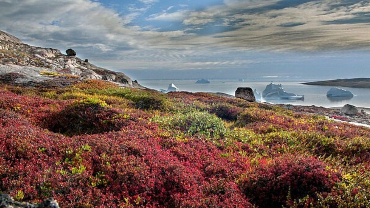 Acordo bilionário em valores atuais envolveu o medo da Alemanha e a segurança do Canal do Panamá durante a Grande Guerra.