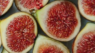 O curioso caso da planta que não é fruta e nem planta carnívora
