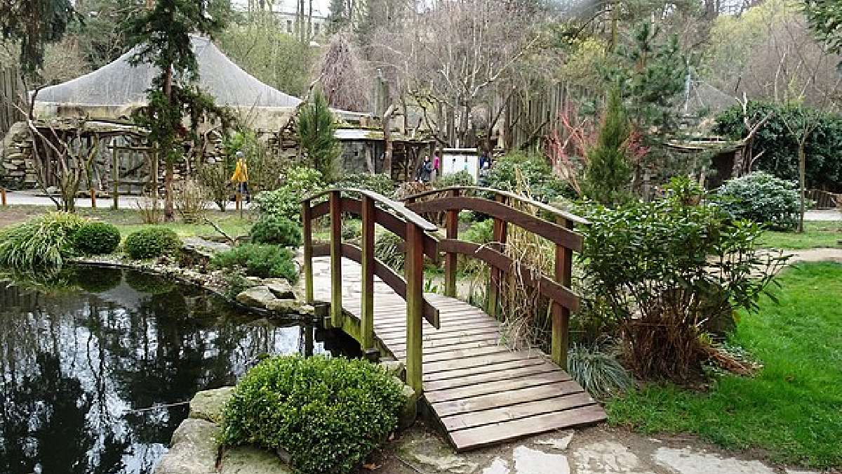 Zoologico checo promete experiência única