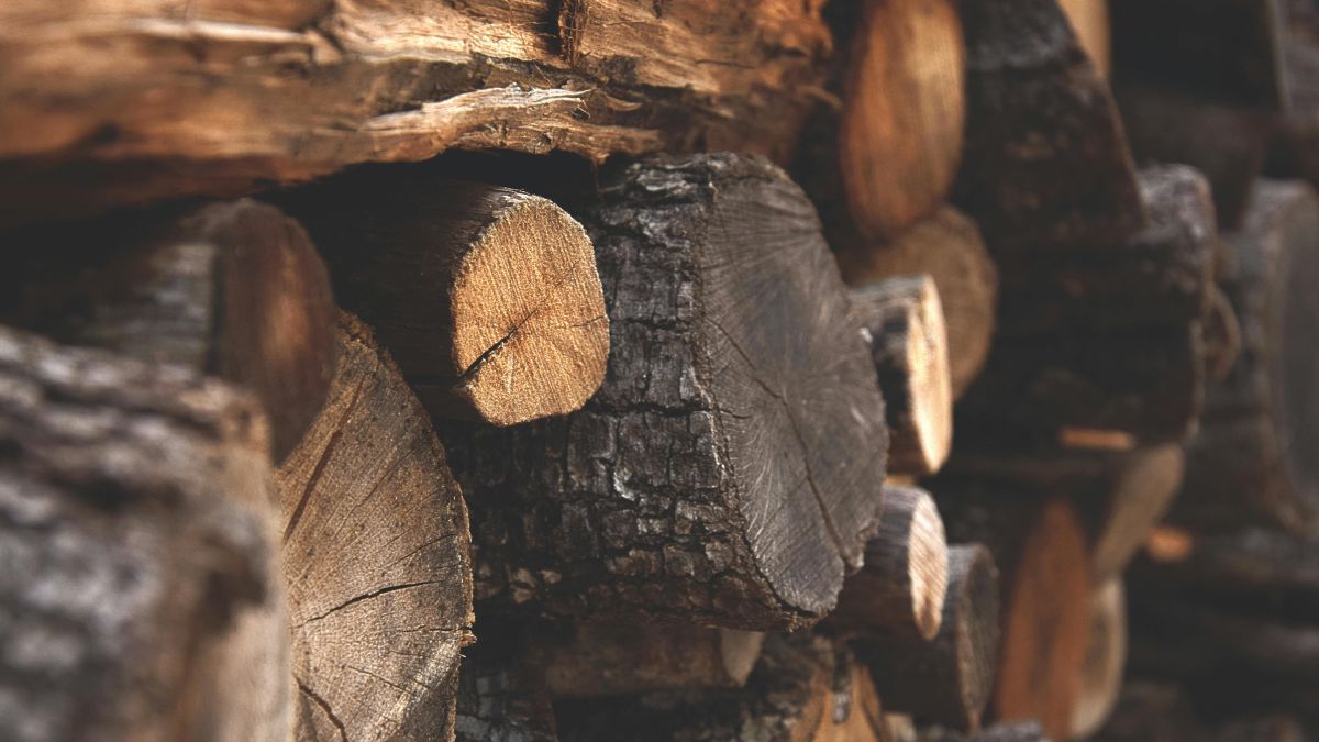 Para evitar o excesso de fumaça e o gosto amargo no churrasco, é fundamental utilizar madeiras que passaram por um processo de secagem natural, garantindo uma queima limpa e eficiente/Pexels