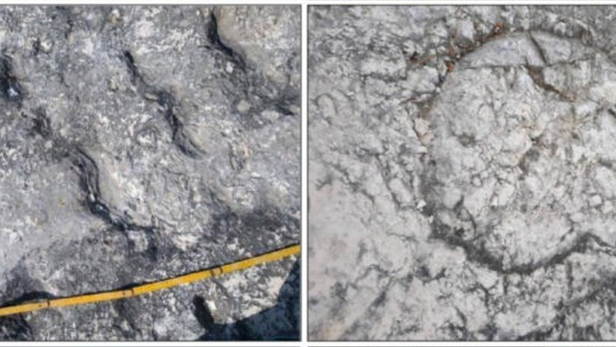 As marcas aparecem na formação calcária conhecida como Scaglia Rossa