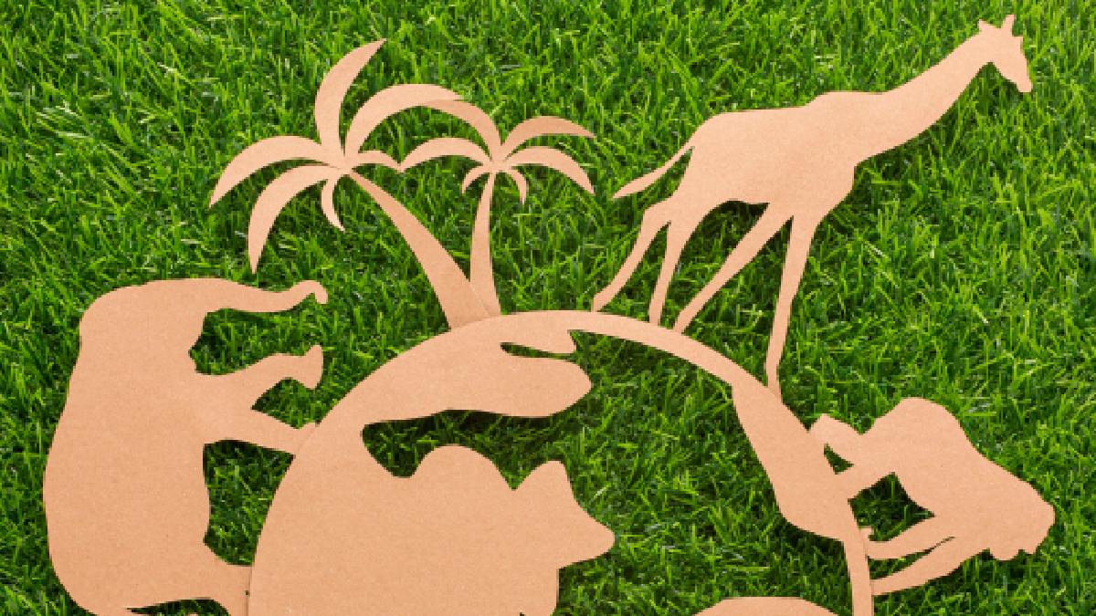 Em uma época marcada pelo cuidado com o meio ambiente, a descoberta soa como conquista