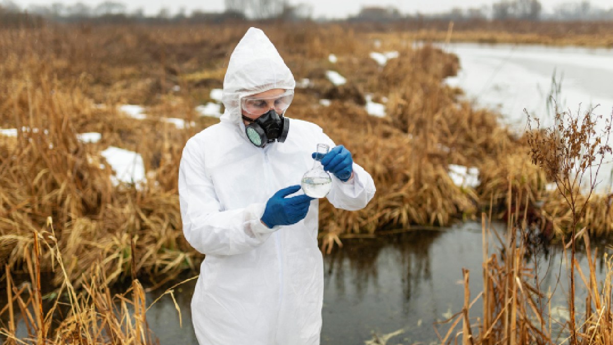 Biólogos analisaram peixes expostos a agrotóxico comum e apontaram risco mesmo em contato prolongado com baixa dose