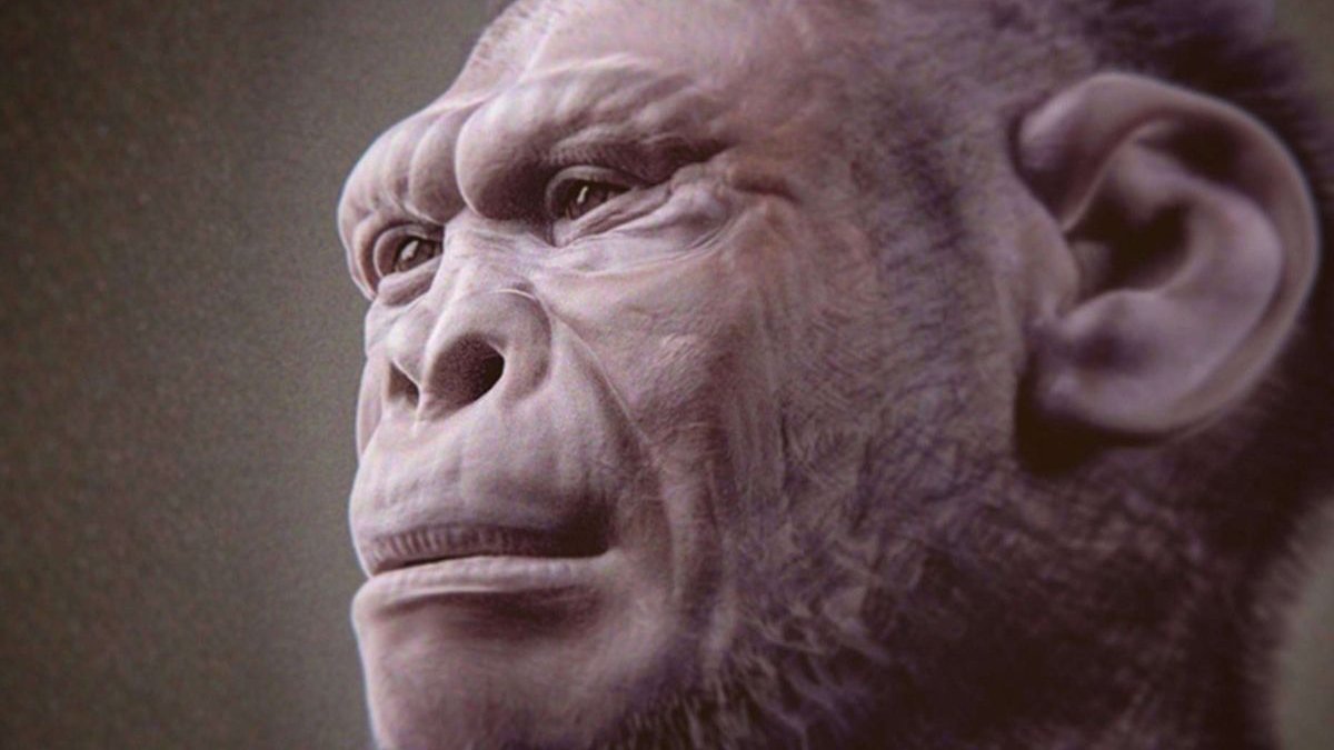 Novos fósseis encontrados na África provam que diferentes tipos de humanos viveram juntos no passado remoto