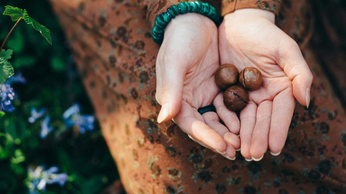 Esqueça por um momento as amêndoas e as nozes tradicionais