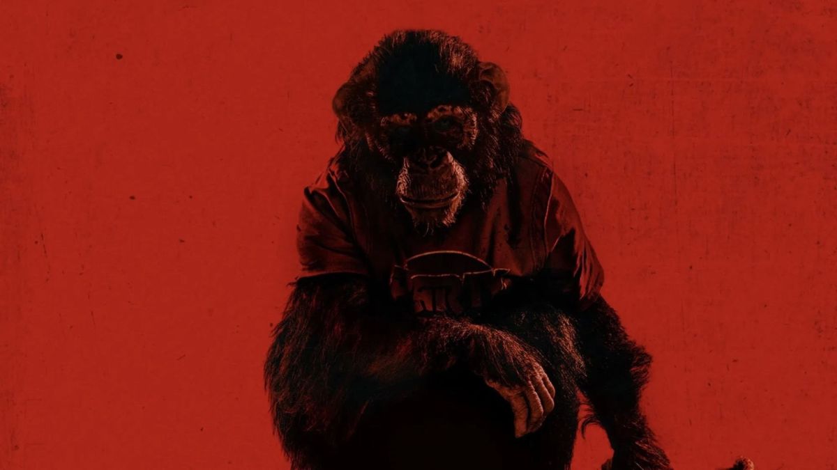 O longa segue em cartaz nos cinemas brasileiros (Paramount Pictures/Divulgação)