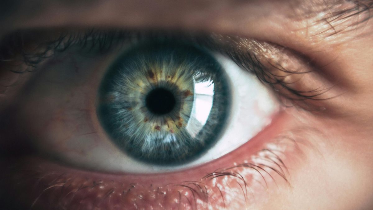 Com apenas 2 mm, o microdispositivo fotovoltaico funciona como uma retina artificial e pode chegar ao mercado internacional ainda em 2026/Pexels