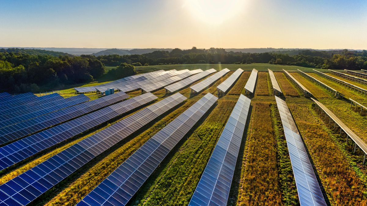 Além de gerar luz, a tecnologia agrivoltaica protege o corpo dos agricultores contra o calor extremo/Pexels