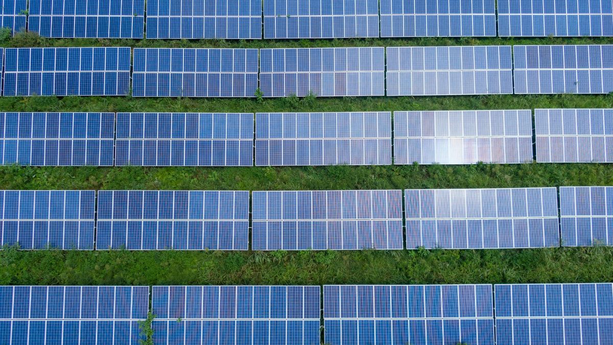 Estudos mostram que o acesso à sombra dos painéis solares diminui drasticamente o risco de insolação/Pexels