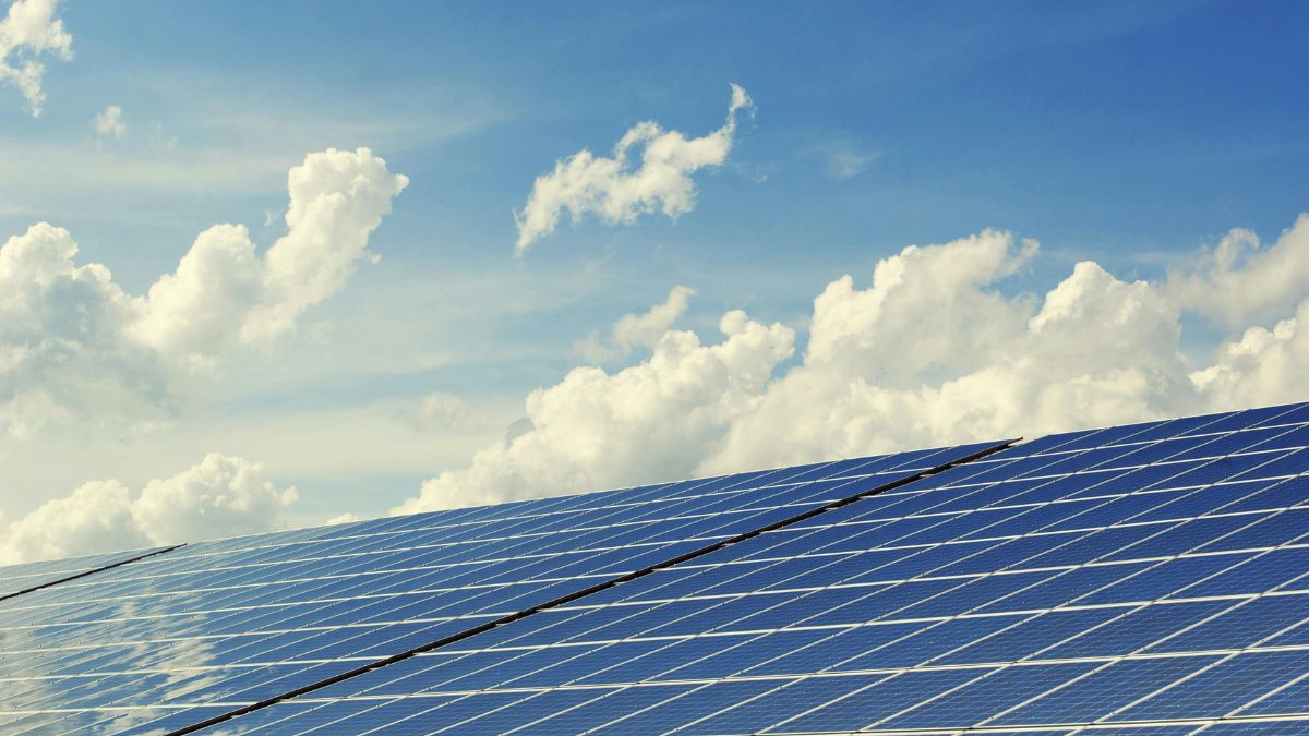 A agrivoltaica prova que a transição energética também pode ser sobre cuidar de vidas humanas/Pexels