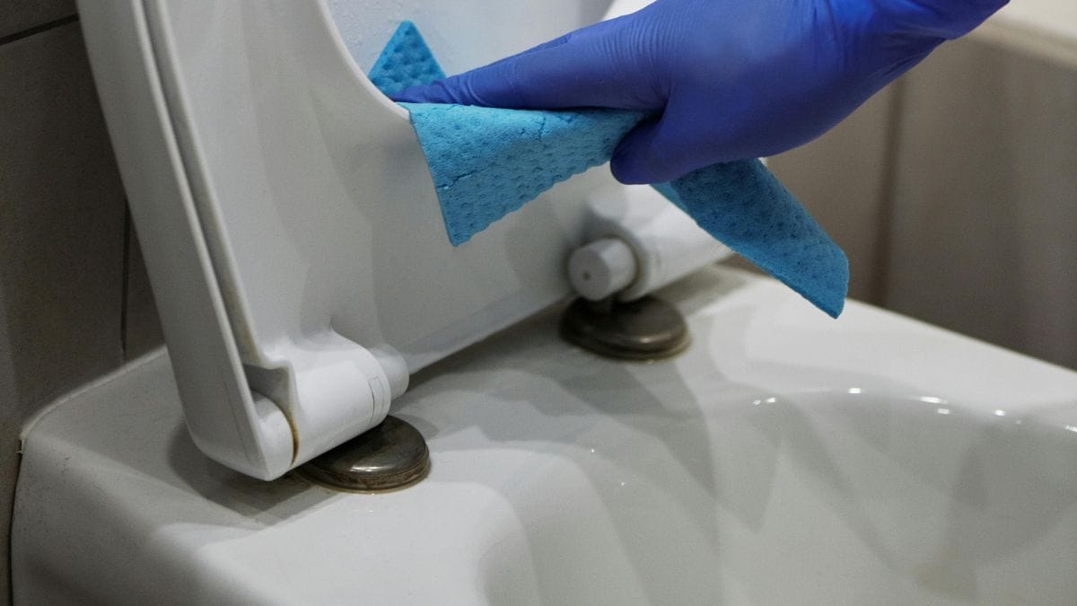 Você sabe a diferença entre o papel de fibra virgem e o reciclado? O papel de fibra virgem é mais macio e absorvente, sendo indicado para peles sensíveis. Já o reciclado é uma opção sustentável que reduz o impacto ambiental, mas pode conter texturas mais ásperas. A escolha certa depende do equilíbrio entre o conforto dermatológico e a consciência ecológica/Pexels