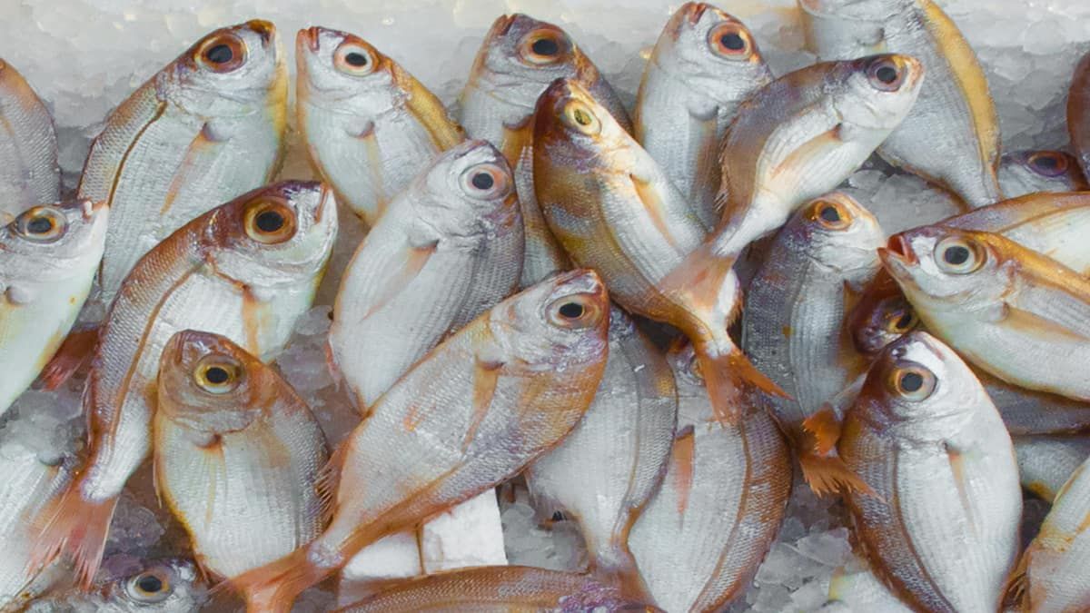 O motivo deste sabor de camarão não é conhecido por muitas pessoas (mali maeder/Pexels)