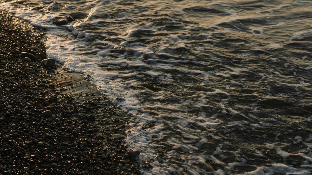 O uso de desumidificadores e a ventilação estratégica são essenciais para quem mora perto da praia e quer evitar o cheiro de mofo nas roupas/Pexels