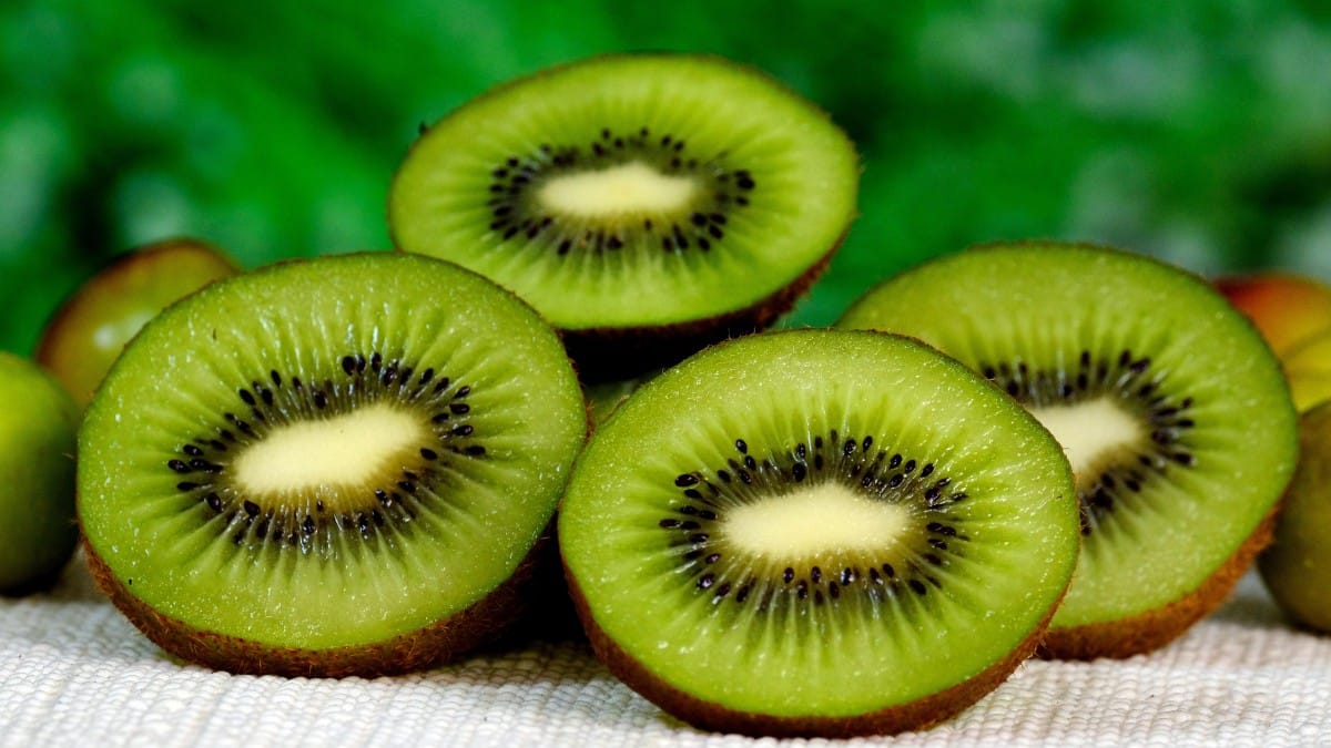 Incluir kiwi na alimentação diária favorece o equilíbrio nutricional e o bem-estar / Pixabay