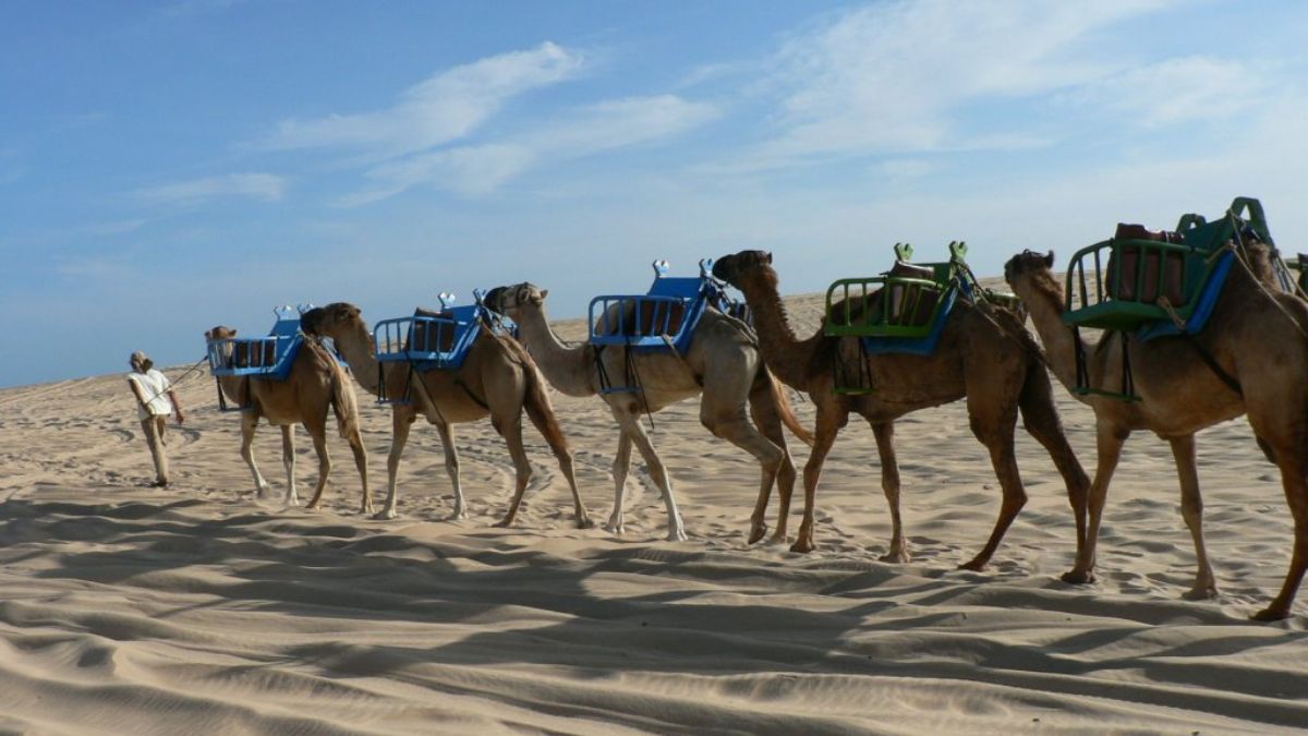 Mesmo com a atividade encerrada, essa fase ajudou a consolidar a imagem do local como um "deserto brasileiro" / Foto: Alexandre Machado/Wikipédia