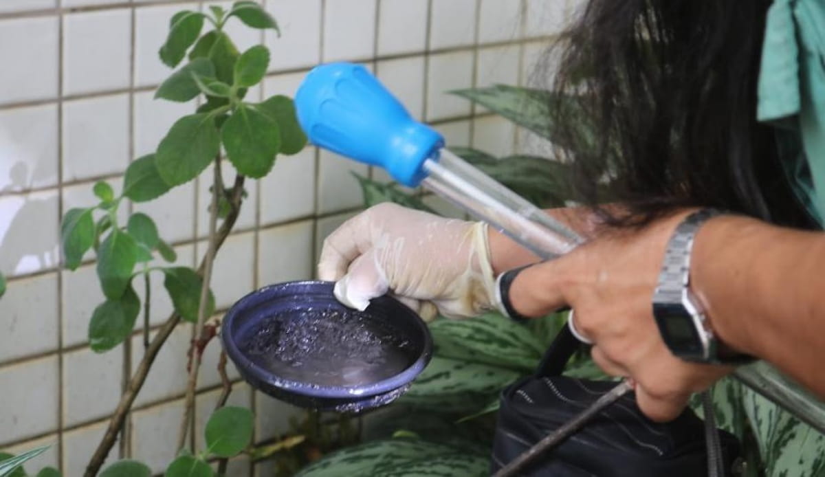 A Secretaria de Saúde reforça que o combate ao mosquito transmissor da dengue depende também da participação da população