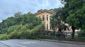 O Edifício Cesário Bastos voltará a pertencer à Seduc-Santos, após episódio de queda de árvore