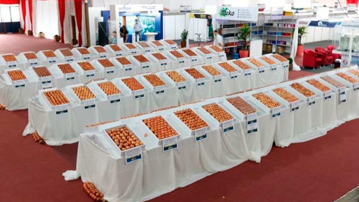 Realizada no primeiro semestre, a Expofeira Nacional da Cebola atrai milhares de visitantes de diversas regiões do país por conta de suas diversas atividades envolvendo a Cebola (Expofeira Nacional da Cebola/Divulgação)