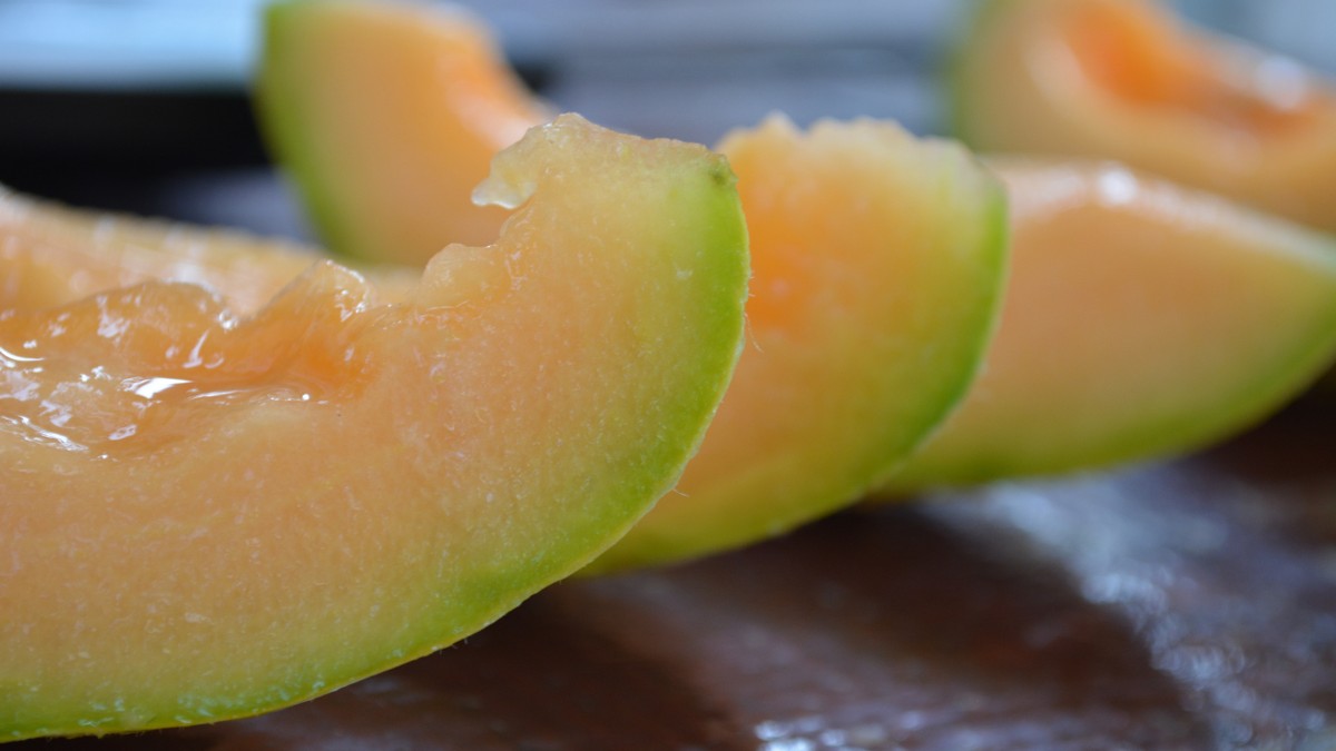 No coração do semiárido nordestino, uma fazenda chama atenção pelo volume fora do comum: até 1 milhão de melões colhidos por dia