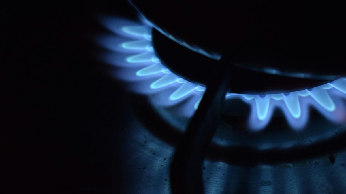O vinagre branco é considerado o melhor aliado para a manutenção do seu forno/Pexels