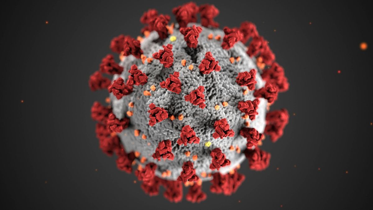 Alerta global, o vírus Nipah ressurge na Índia com sintomas que atacam o sistema nervoso central/Pexels