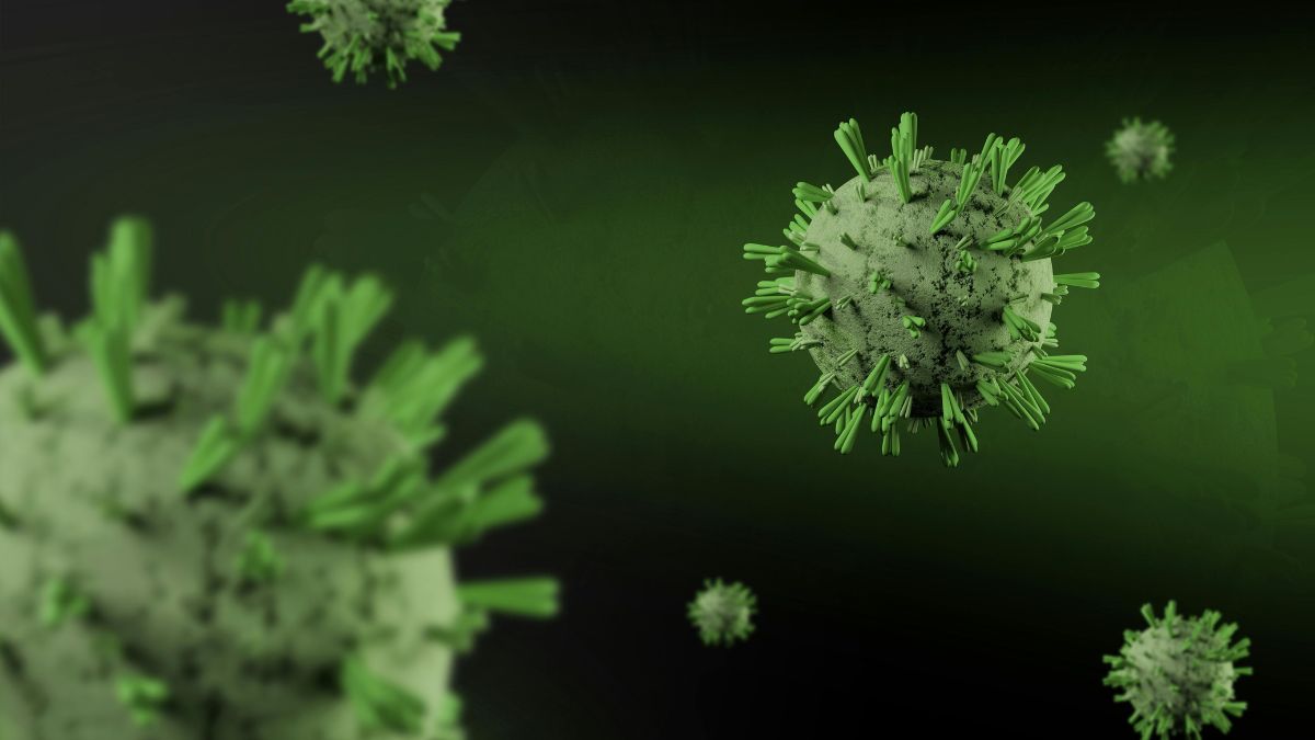 Sem vacina ou cura, surto de Nipah na Índia leva quase 100 pessoas para a quarentena em Calcutá/Pexels