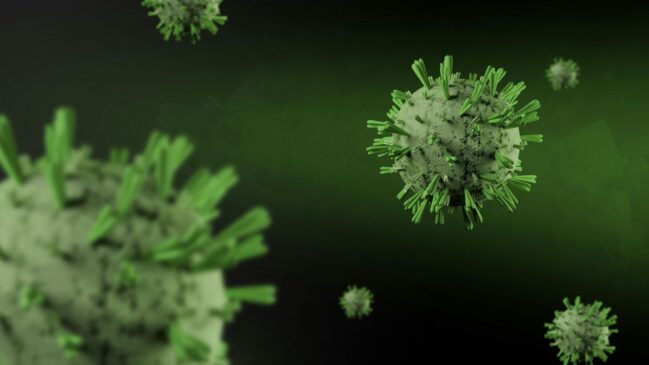 Um novo surto do vírus Nipah (NiV) colocou as autoridades de saúde da Índia em estágio de atenção máxima