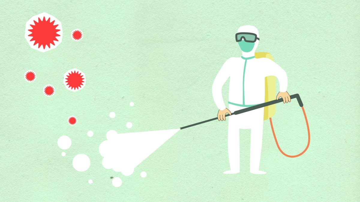 Entenda os riscos do Nipah, o vírus que causa inflamação cerebral fatal e desafia a medicina/Pexels