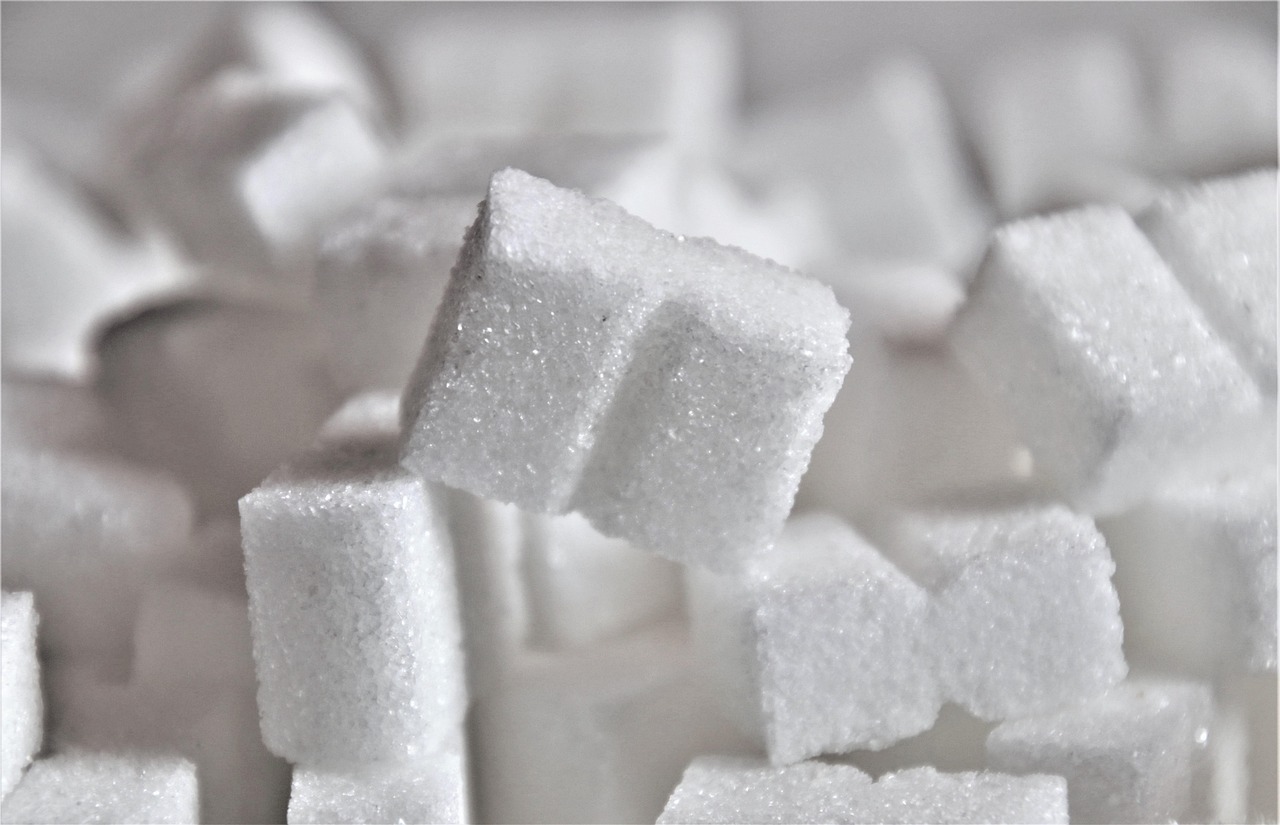 Algas, konjac e alimentos à base de soja ganham destaque por retardarem a absorção do açúcar. Pequenas escolhas, grandes impactos no metabolismo.