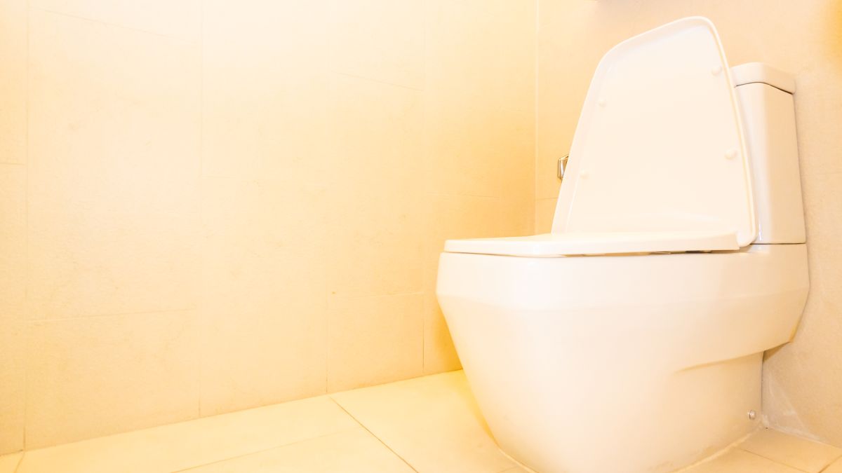 A limpeza é considerada um fator principal do respeito para com o próximo e uma demonstração de boa educação